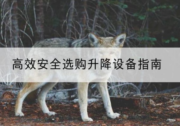 景东升降货梯厂家推荐-*安全选购升降设备指南