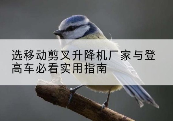 景东电动升降机厂家-选移动剪叉升降机厂家与登高车必看实用指南